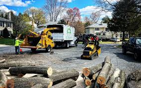 Best Commercial Tree Services  in Carlyle, IL